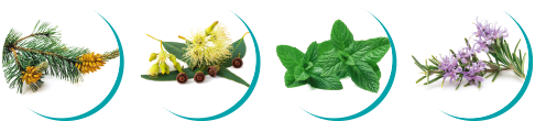 EasyBreathBalsamico